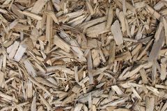 biomass boilers Dommett